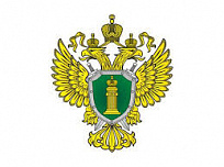 Правительством Российской Федерации утверждены правила возврата авиабилета на отмененный рейс в случае ЧС или введения режима повышенной готовности 