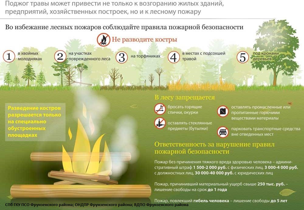 Причины пожаров в лесу.jpg