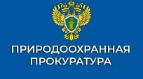 Пользование водой: как не получить штраф за лишнюю трубу или причал